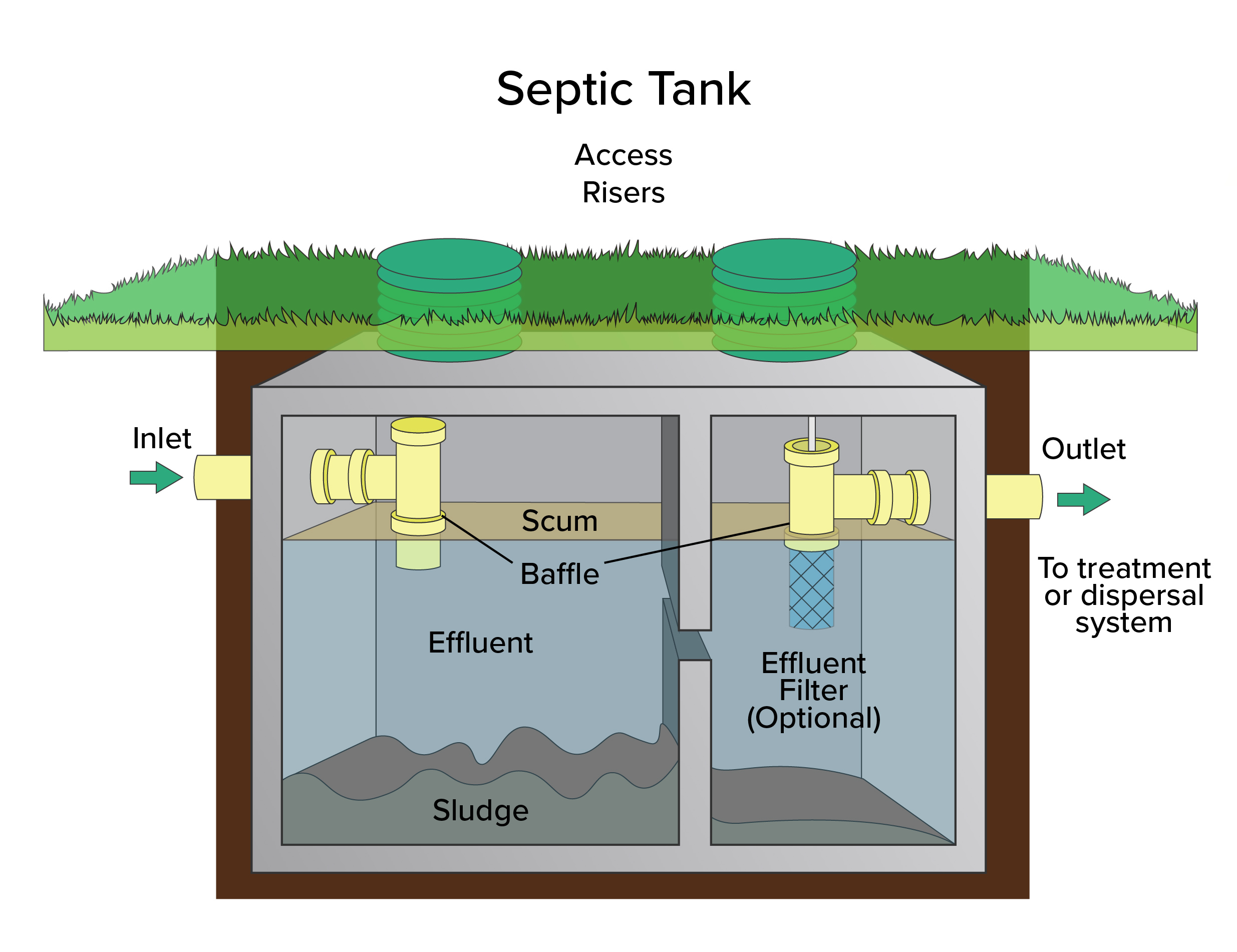 Diagram of a two-chamber septic tank system buried underground with grass covering the surface. Wastewater enters from the left through the inlet pipe, filling the first chamber where solids settle as sludge at the bottom, and lighter materials form a scum layer on top. A baffle separates the layers and directs the flow into the second chamber. The second chamber contains mostly effluent (liquid waste) and an optional effluent filter connected to the outlet pipe. The treated effluent exits the tank on the right to a treatment or dispersal system. Two green access risers extend from the tank to the ground surface for maintenance.